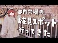 都内穴場のお花見スポット行ってきた♡【ぐーたら】【お花見】【都内桜名所】【新宿】【新宿花見】【桜名所】