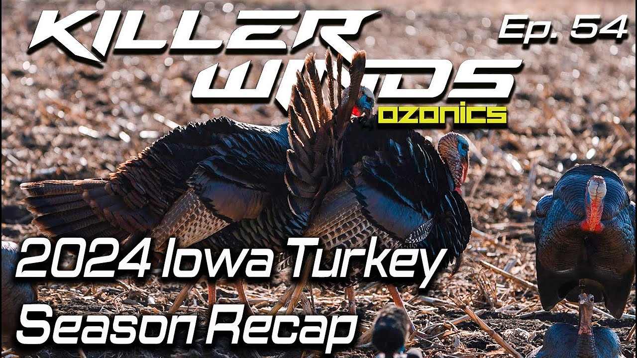 2024 Iowa Turkey Season Recap || Killerwinds Podcast - YouTube