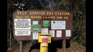 River Junction Campground Croom Wildlife Management Area