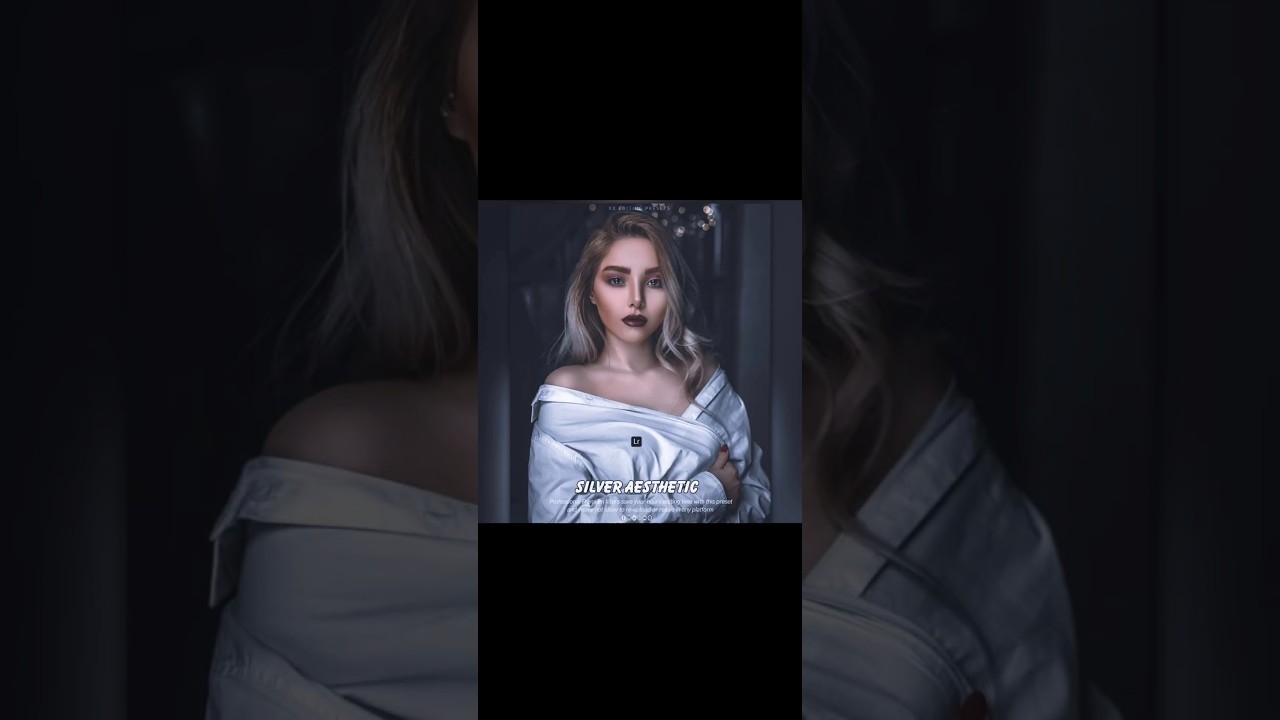 SILVER AESTHETIC | Presets |  Free Download🔻| Premium lightroom mobile presets