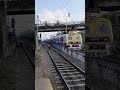 লোকাল ট্রেনের ভিডিও নতুন 🚂