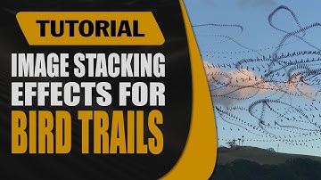 Tutorial: How To Create Bird Trails with Image Stacking | Photoshop, Affinity Photo, StarStaX