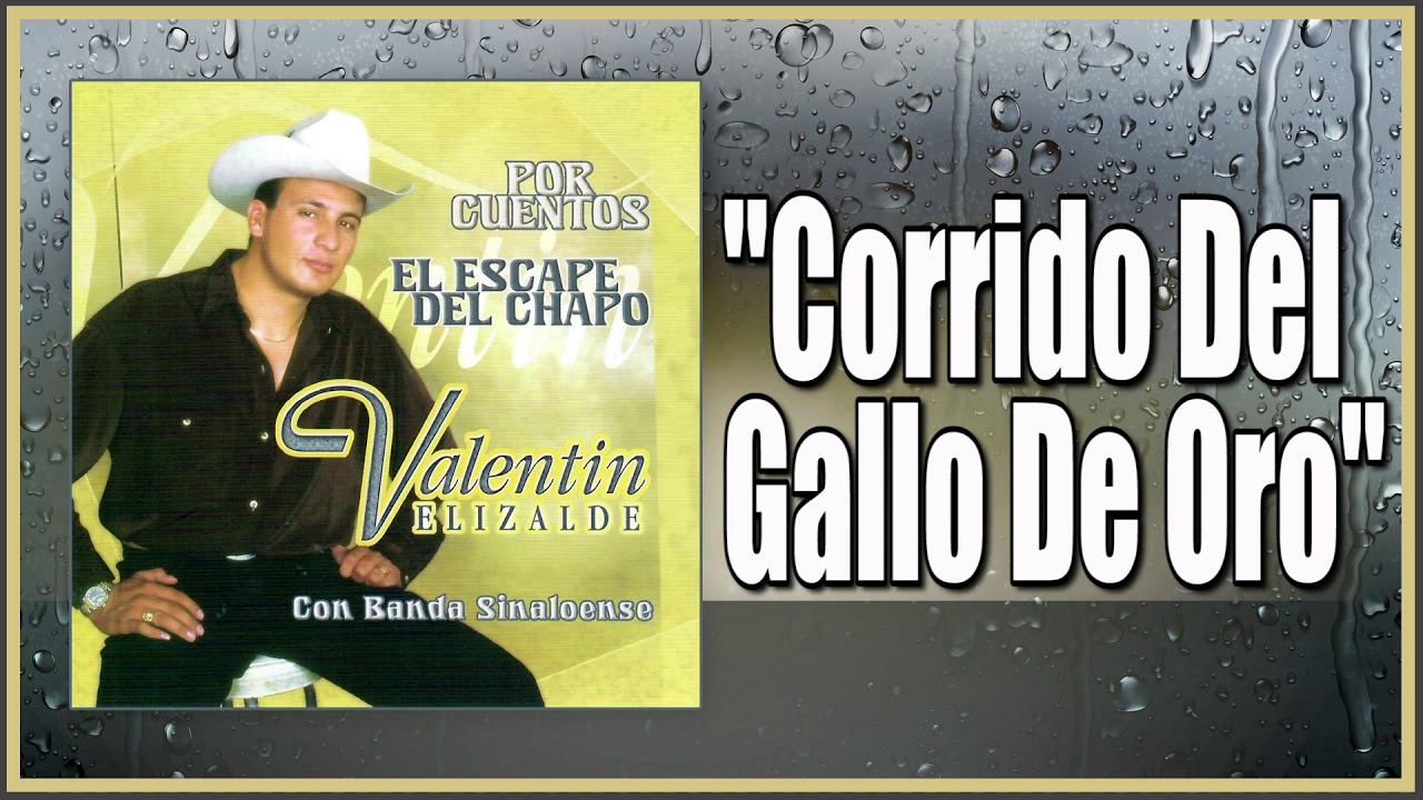 El Gallo De Oro Valentin Elizalde Con Banda Sinaloense Youtube