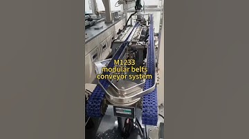 M1233 modular belts conveyor system