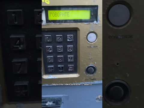 Пранк домофон перхоть с авито #shorts #пранк #авито