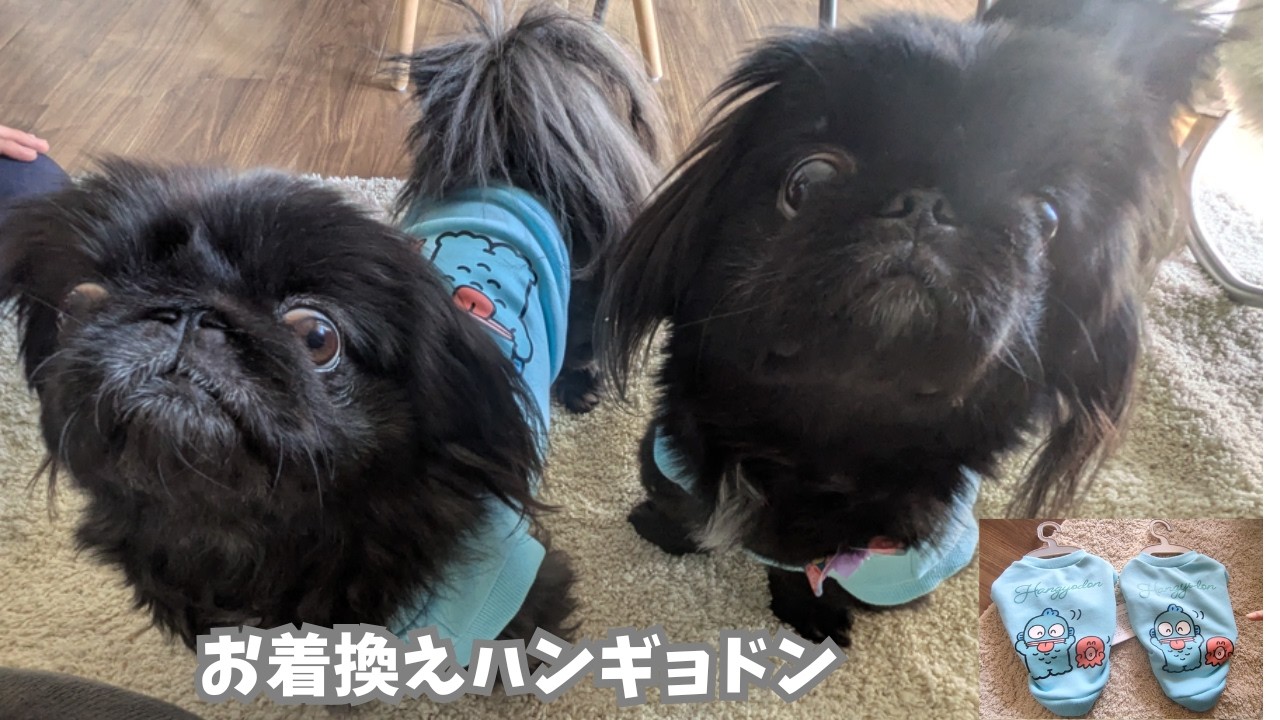 【ペキニーズ】マジカルパワーメイクアップ！【ワンワンピース】