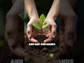 A Powerful Blessing for Your Family's Future