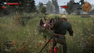 TW3 EH mod  : Dettlaff Blood spikes bug (Fixed)