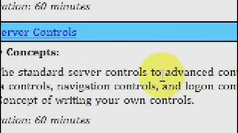 ASP.NET Soup 9 Server Controls