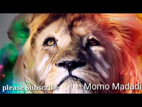 بهترین قطغنی مست که هیچ نشنیده باشد از فرید سروری Qataghani Mast From Farid Sarwary