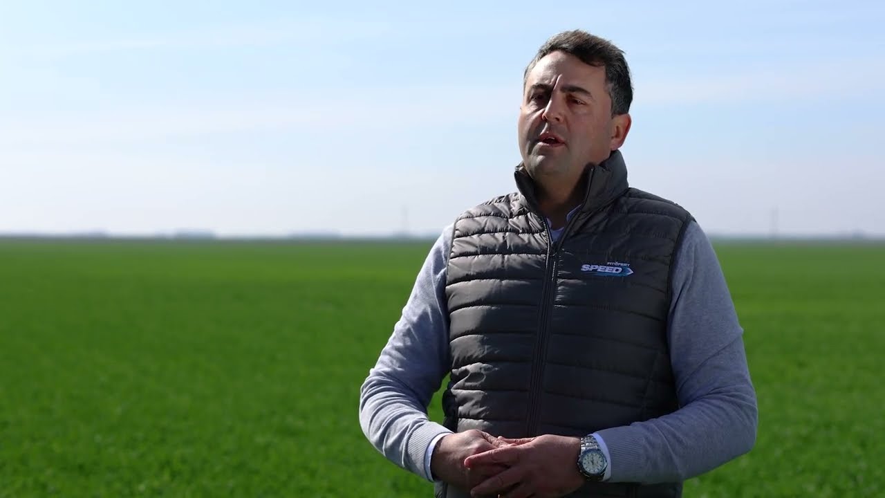 Kako najbolje uraditi prvi tretman u usevu pšenice: Olimp, Lancelot, Speed for Grain