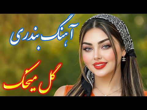   آهنگ شاد و زیبای گل میخک با خوانندگی فرشید حاضری