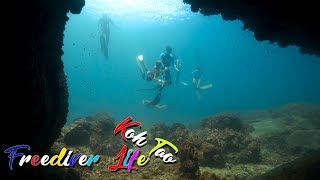 Freediving KohTao On October