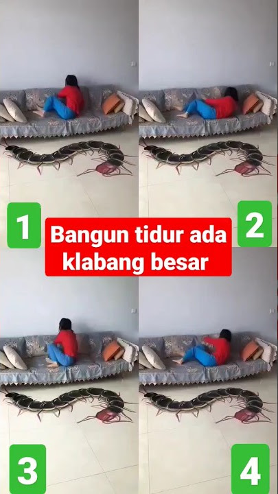 ekspresi liat orang bangun tidur ada klabang besar #shorts #fyp