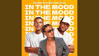 In The Mood (Da Lee LS Remix)