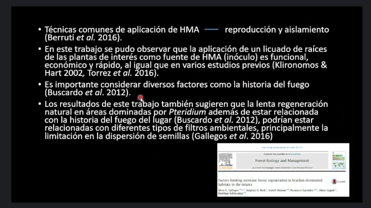 Defensa de Tesis de Maestría Terminal