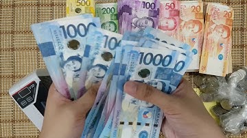 [47] ASMR MONEY SORT & COUNT - Let