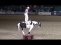 Tommie Turvey – Roman Riding & Trick Roping - Night of the Horse 2015 - Del Mar National Horse Show