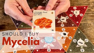 Should I Buy Mycelia
