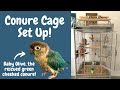 How to Set Up Your Conure's Cage! | Parrot Cage Tour | BirdNerdSophie AD