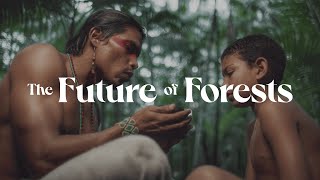 Future Forward: The Future of Forests
