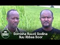 Oomisha Ruuzii Godina Iluu Abbaa Boor Oomisha Ruuzii Godina Iluu Abbaa Boor