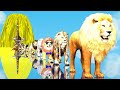 Paint Animals Gorilla Cow Lion Elephant Dinosaurs Dragons and T-Rex Fountain Crossing Animal Cartoon