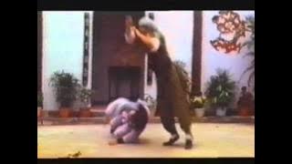 Old Dirty Bastard (ODB)