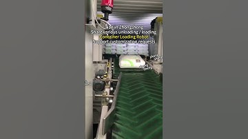 Container Loading Robot