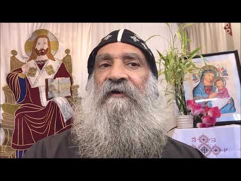 شجرة عيد الميلاد وما هى قصتها