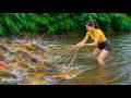 The Beautiful Country Girl Harvesting Fish In The Forest - Life In The Mountains