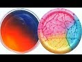 The Most Satisfying Slime ASMR Videos | Relaxing Oddly Satisfying Slime | #768