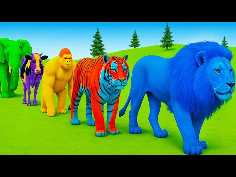 Long Slide Game With Elephant Gorilla Buffalo Hippopotamus Tiger - 3d Animal Game - Funny 3d Animals