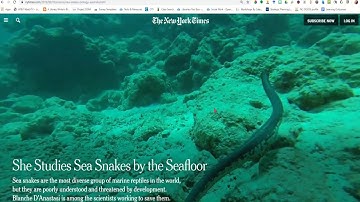 Finding an Article from the New York Times Using Library Databases