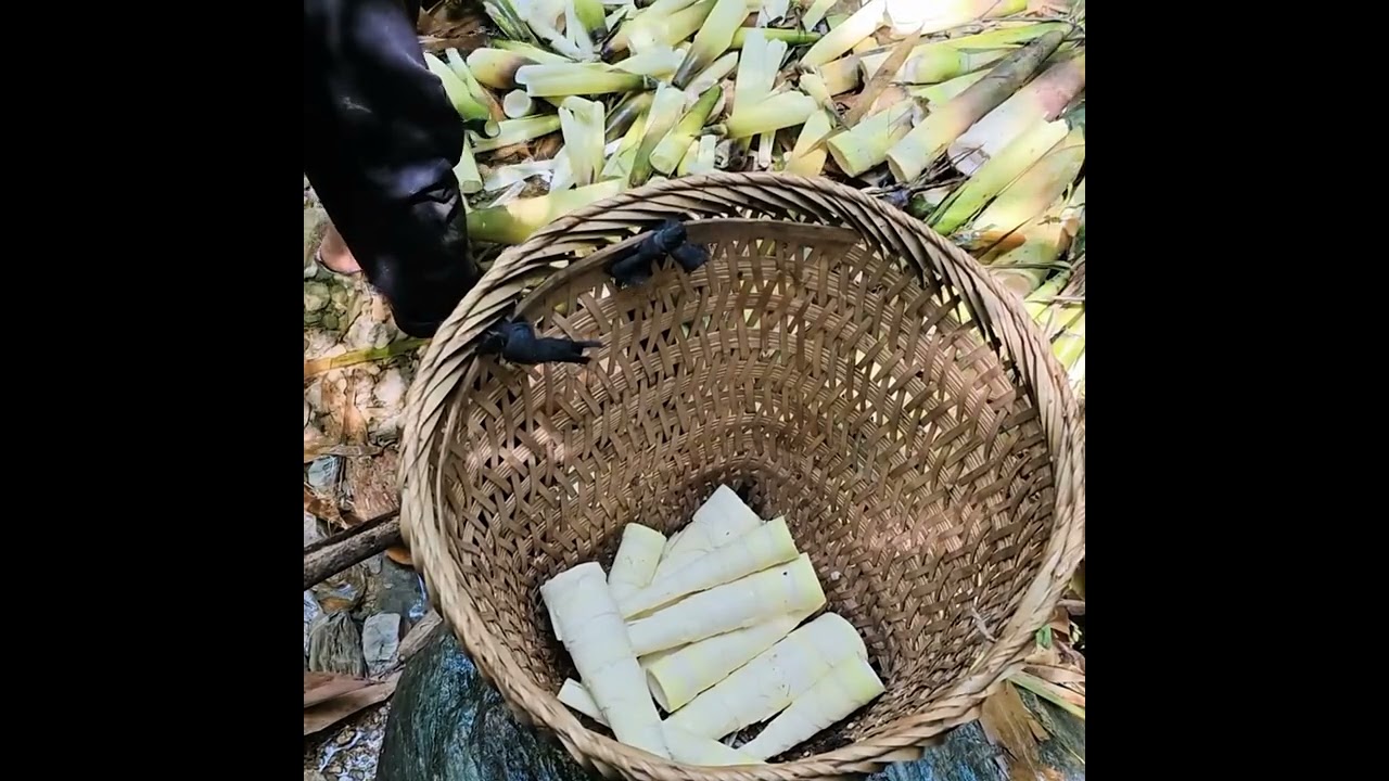 My Little Heartbeat💖The Quiet Moments of MotherhoodWatching My World Sleep 🌎