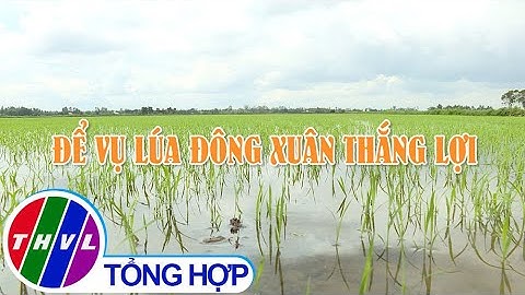 Nông nghiệp bền vững: Để vụ lúa Đông Xuân thắng lợi