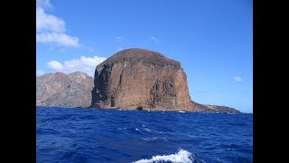 Imagens da Ilha da Trindade, Vitória  ES