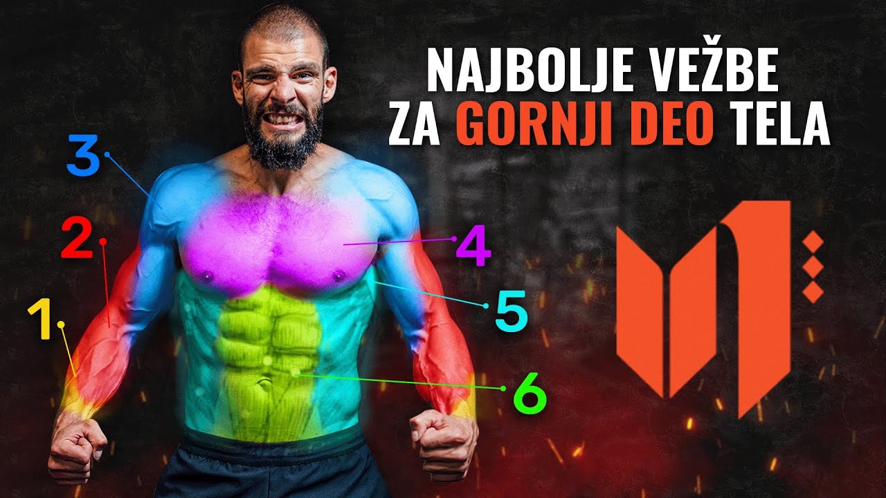 NAJBOLJE VEŽBE ZA GRUDI, RAMENA, RUKE I GORNJI DEO LEĐA