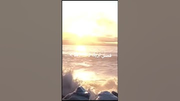 سورة الكوثر بصوت مشاري العفاسي