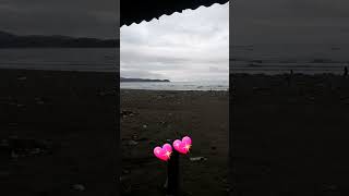 Trenggalek Saksi Tresnoshortsjandhut