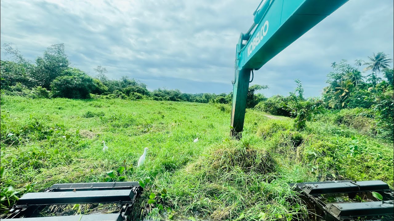 Watch how an Amphibious Excavator cleans a river filled with overgrown ...