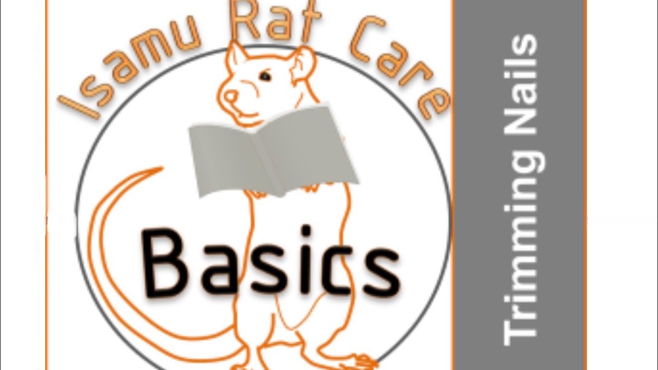 How to trim rats nails YouTube