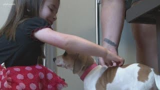 Find a fur-ever friend during "Clear The Shelters" day on Aug. 18