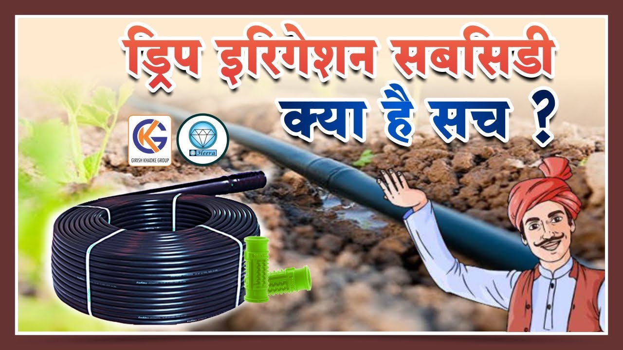ड्रिप इरिगेशन सबसिडी क्या है सच, Drip irrigation subsidy /Cost
