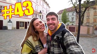 DONATO IRL STREAM #43 | IRL STREAMY SÚ ZPET!