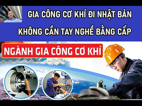 Tổng Hợp 10 Địa Chỉ Công Ty Xuất Khẩu Lao Động Đáng Tin Cậy tại Ninh Thuận