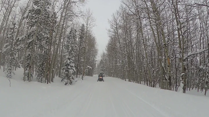 Snowmobiling At Winter Park