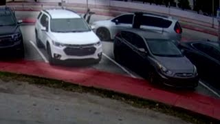 Police search for crooks who stole expensive antique from car in Miami Beach