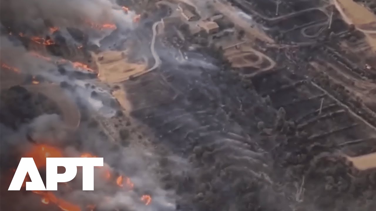 2 Dead in Catalonia Wildfire as Europe Boils Under Record Heatwave | Europeans Narrate Ordeal | APT