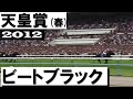 【ありがとうビートブラック】「大波乱の天皇賞!なんとビートブラック」<天皇賞(春)2012>